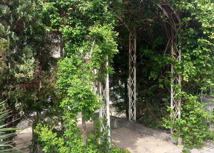 Comfort Lejlighed Sunny Beach