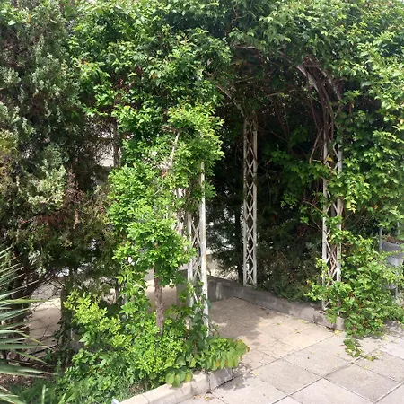 Comfort Apartament Sunny Beach